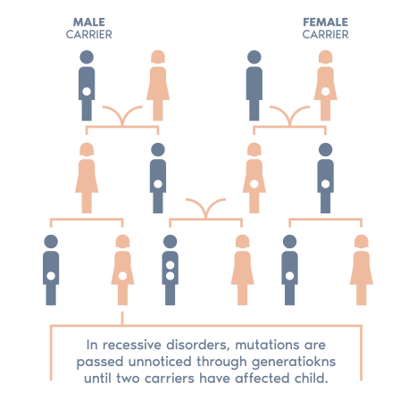 CGT Carrier Genetic Test