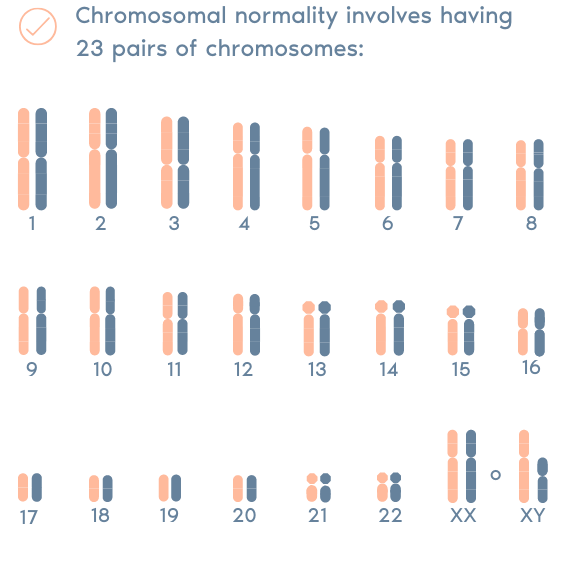 PGT-A Preimplantation Genetic Testing