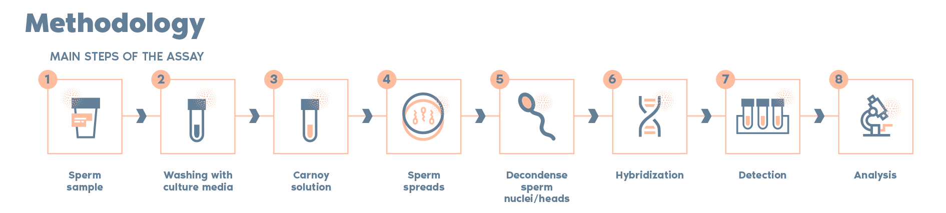 SAT Sperm aneuploidy test