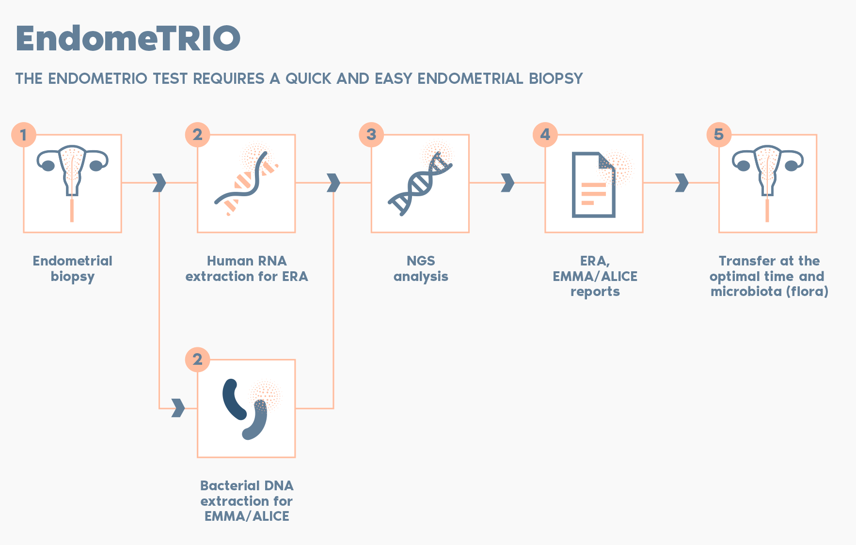 EndomeTRIO